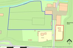 Site plan -blue area depicts paddock- click for photo gallery